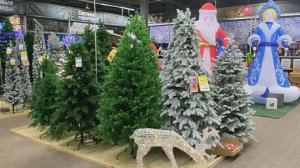 В МЕГУ за подарками и праздничным настроением.