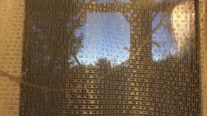 Погода у нас