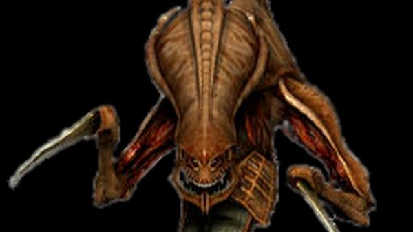 Запись обучения от игрока Iosup (2025-11-23)