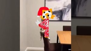 гг у меня щас 00:10