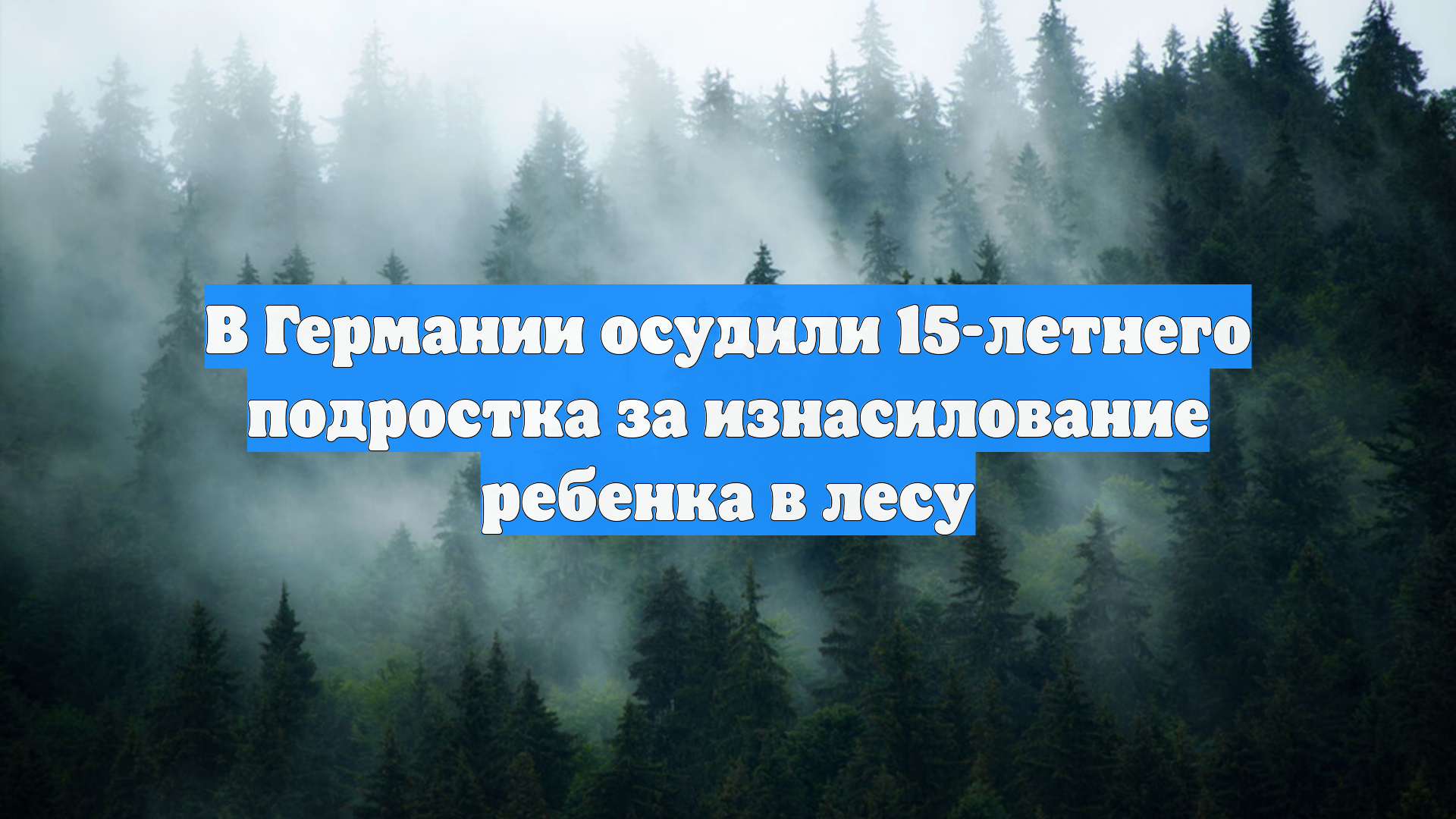 В Германии осудили 15-летнего подростка за изнасилование ребенка в лесу