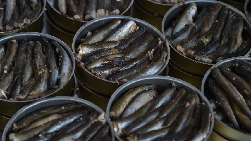 Поддельные шпроты: как распознать настоящий новогодний деликатес