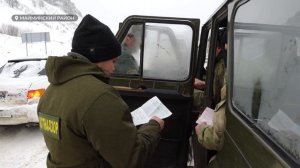 Миграция косуль в Горном Алтае стала для браконьеров возможностью легкой наживы