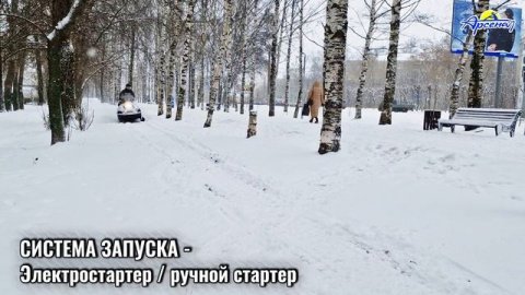 Снегоход STELS СТАВР
MS600T