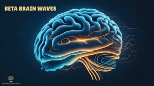 Бинауральные ритмы улучшают память с помощью музыки Brain Waves, улучшающей запоминание музыки
