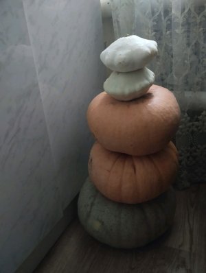 Доброго дня всем