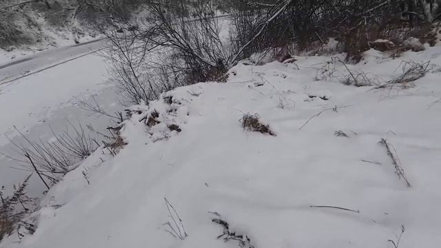 Завёл снегоход СМ-003 и поехал на реку — пообщается с рыбаками. Узнать как клюёт.