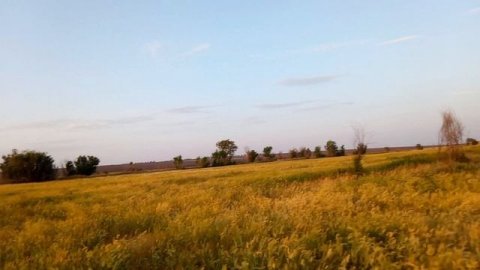 Посёлок Новоуспенка, Краснопартизанский район.