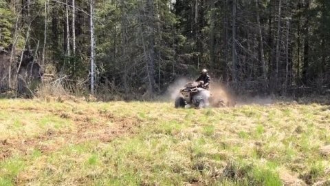 Kawasaki , Yamaha, Stels, Honda весело покоряют болото !