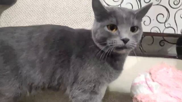 Лего школа.