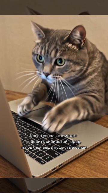 Всеми лапками за Сибирь 💙