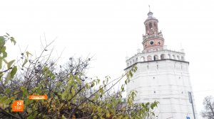 День Конституции - 2026