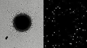 3I/ATLAS Опроверг Все Прогнозы — NASA Готовится Опубликовать Новые Снимки