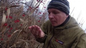 Дары леса! Бобр курва. Деревенские заботы.