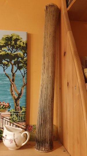 Посох дождя из борщевика своими руками