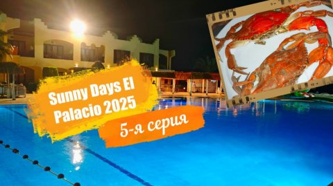Sunny Days El Palacio 4*. Отпуск Египет Осень-2025. 5-я серия