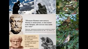 2-2. Шутейно-философские раздумья. voice upfront