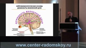 Доминанта жизненной цели: основа здоровья и долголетия