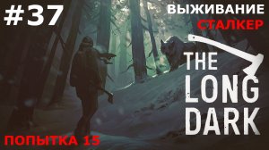 ИГРАЕМ В THE LONG DARK | #thelongdark | ВЫЖИВАНИЕ. СТАЛКЕР | #37 ДНИ 6-9