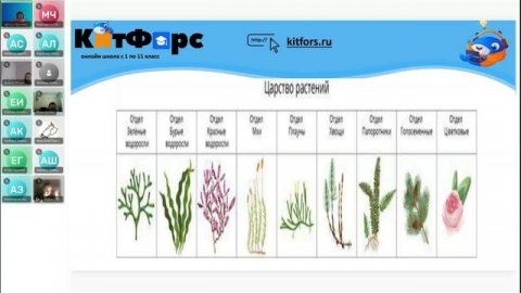 7А Биология 12 декабря