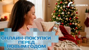 Интернет-шопинг перед Новым годом. Что россияне заказывают онлайн чаще всего?