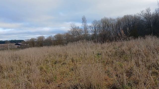 Хмелевая поляна участок смотреть онлайн