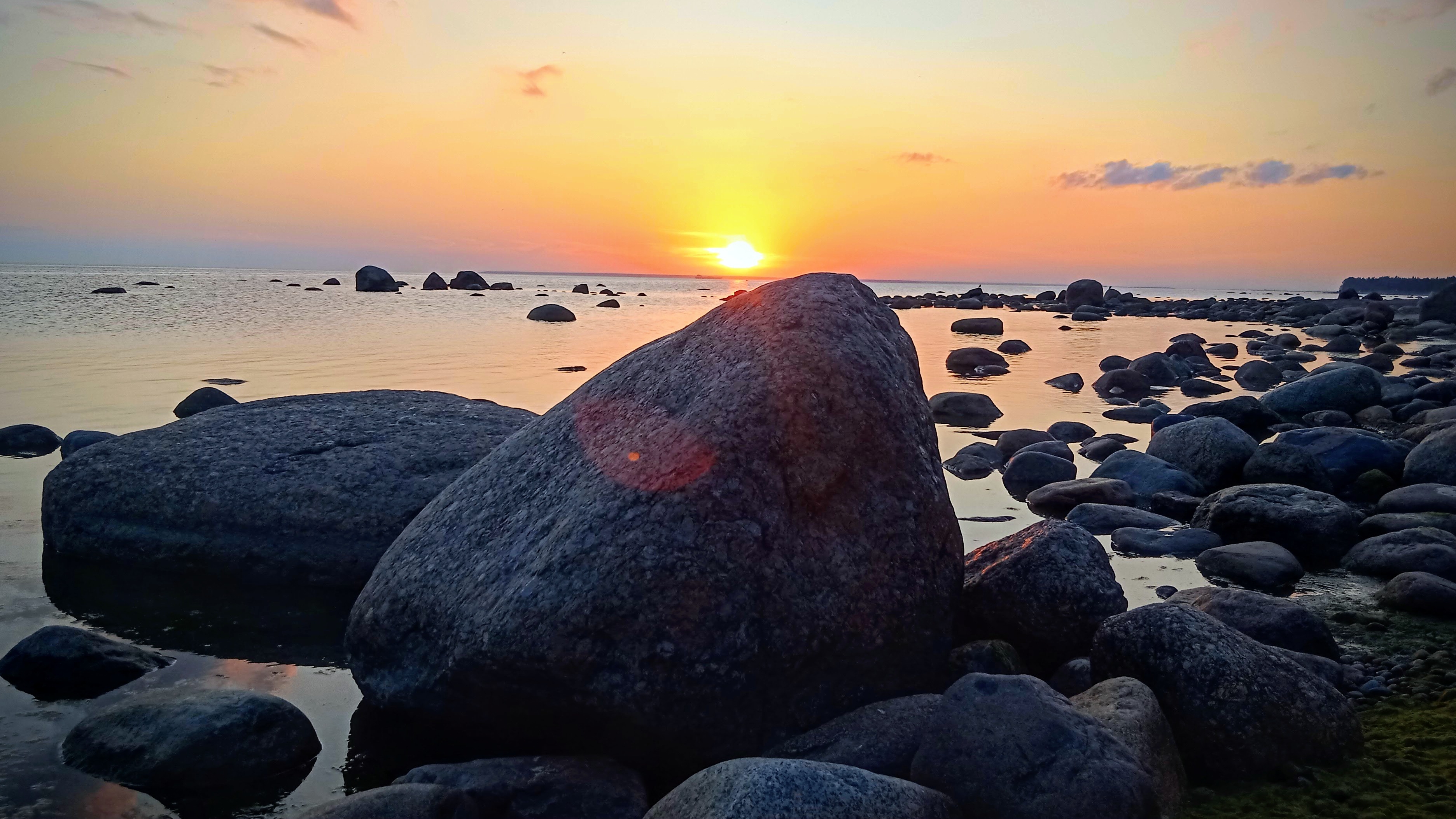 Бухта Желтая/мыс Кюренниеми/Приморск/Выборг