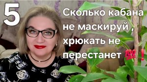 Сколько кабана не маскируй ,хрюкать не перестанет💯❗️