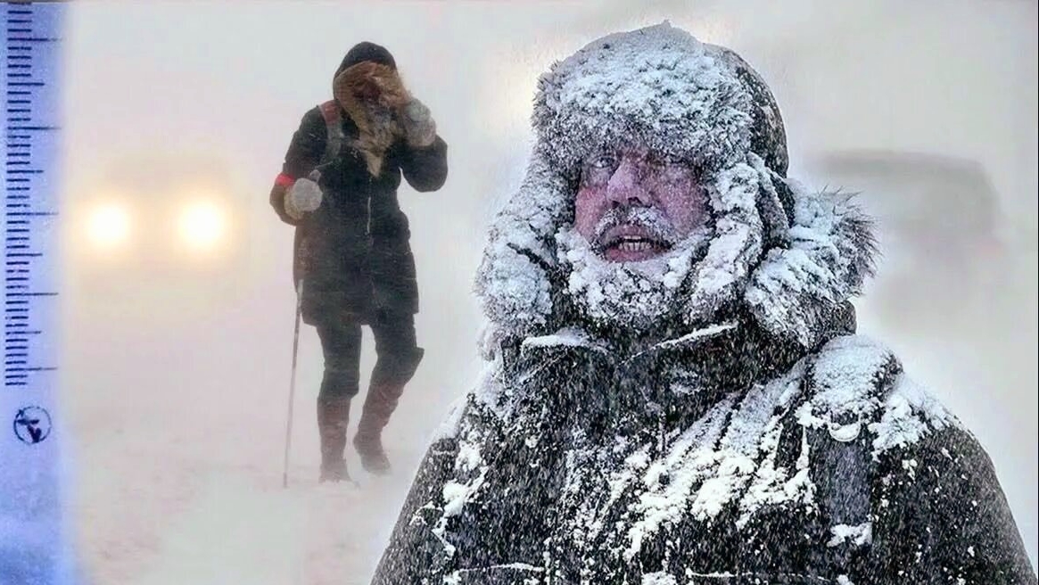 13.11.2025 НАСТУПАЮТ СИЛЬНЫЕ МОРОЗЫ НУЖНО ВСЁ УКРЫТЬ.