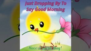 прикольный цыплёнок 🐣