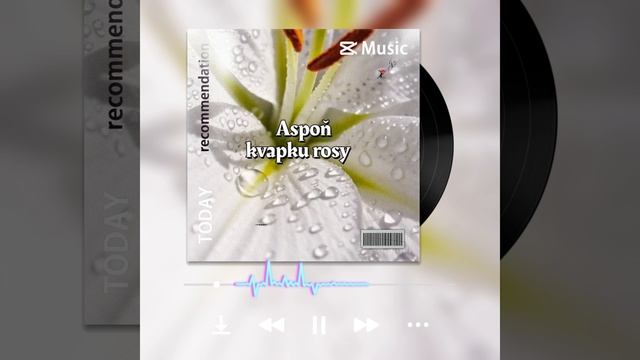 Aspoň kvapku rosy ( DJ SkorpionJasod )