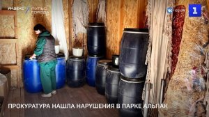 Прокуратура нашла нарушения в парке альпак