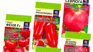 Конец ноября.Выбираю лучшие семена томатов.Первые посевы.