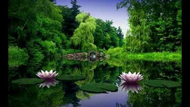 195 СУТЬ ДОПУЩЕНИЯ МОИСЕЯ ОТНОСИТЕЛЬНО БРАКА