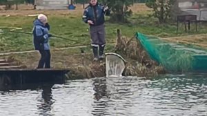 VID_20251212_123426_639