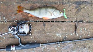 МИКРО-ДЖИГ. Десна 9 декабря 2025 года