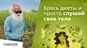 Как питаться чтобы повысить свою чувствительность?