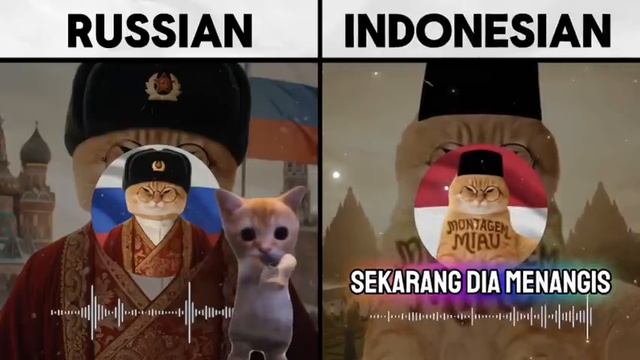 МОНТАГЕМ ВЕРСИИ ТРЕКА АЙМИ ГАТИТО МЯУ МЯУ НА РАЗНЫХ ЯЗЫКАХ! МОНТАГЕМ НА РУССКОМ И ЯПОНСКОМ!