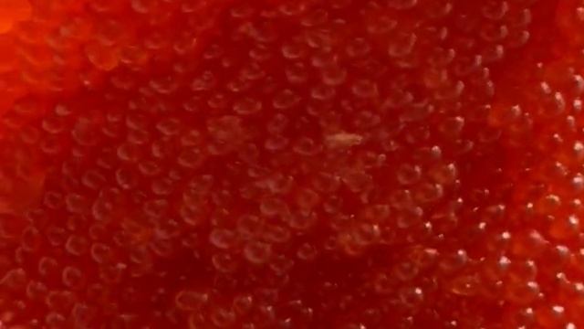 Тайные вкусы