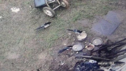 Налетели сороки, растаскивают еду ПОДПИШИСЬ