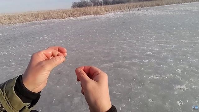 Щука ДУРОМ ПОШЛА! Рыбалка на жерлицы! Подводная съемка