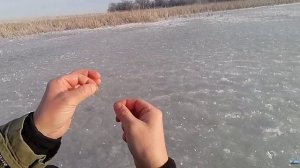 Щука ДУРОМ ПОШЛА! Рыбалка на жерлицы! Подводная съемка