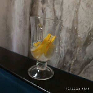 делаю пилатес от николы