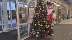 Ейск. Выплаты с Рутуба рухнули. Поговорим? Самая вкусная курица, рецепт.