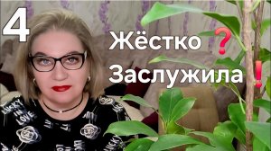 Жёстко❓️Заслужила💯❗️