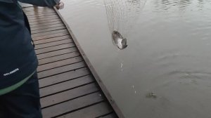 Основной водоём. Блесну.