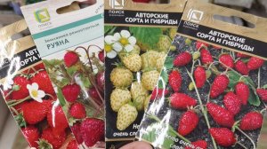 Что посеять в декабре? Обязательно посадите эти культуры в декабре на рассаду для раннего урожая