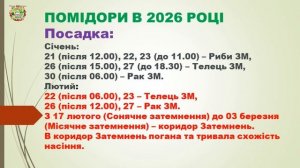 Когда Сеять Томаты в 2026? Лунный календарь для идеального урожая