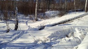 Проверка капканов часть #5,удачно 👍👍👍