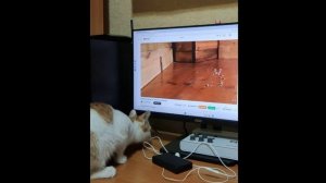 Котейка и мышь в мониторе